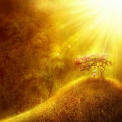 Илья Карташев, Томск