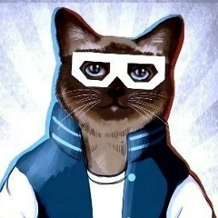 Вася Фёдоров, Санкт-Петербург