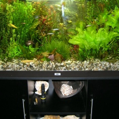 Олег Зорин, 16.01, Санкт-Петербург