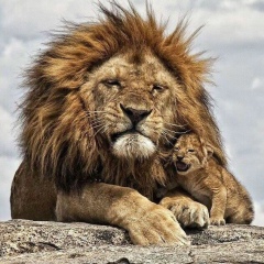 Рамит Салихов, 15.01, Астрахань