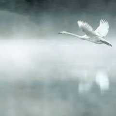 Игорь Мартыненко, 28.09.1979, Санкт-Петербург