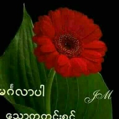 ကိုေအာင္ ေအာင္, 02.11.1984, Yongon