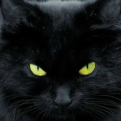 Алексей Алексеев, Нижний Новгород