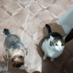 Валерий Мацуй, 17.12, Астрахань