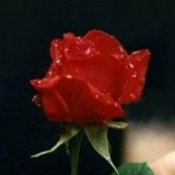 Юлия Панченко, 24.08.1990, Минск