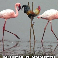 Данияр Тургунов, 06.07, Шымкент