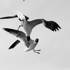 Ольга Щербакова, 16.05, Москва