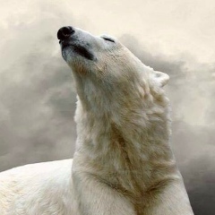 Евгений Новиков, 04.04.1980, Рыбинск