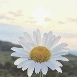 Эльмира Шыныкулова, 01.07.1974, Алматы