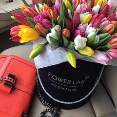 Аленка Принцесса, 12.03.1984, Киев