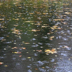 Ищу Певицу, Москва