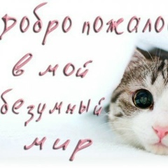 Александр Иванов, 06.05, Новосибирск