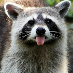 Борис Романов, 22.02, Москва