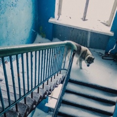 Вадим Лавров, 09.08.1999