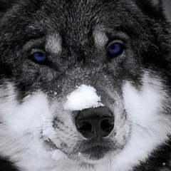 Игорь Филатов, 15.06, Москва