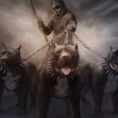 Кронос Рэй, Кимры