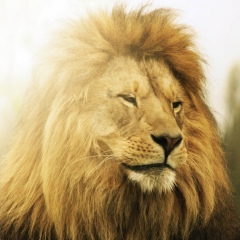 Нурсултан Талапулы, 22.02.1994