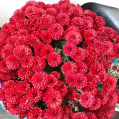 Катюша Карпюк, 15.07.1986, Киев