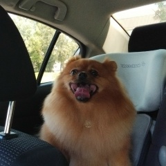 Александр Билоцкий, 23.11, Санкт-Петербург