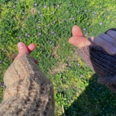 Ami Hamzatova, 05.10.1994, Грозный