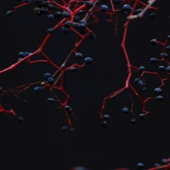 Марина Копылова, 02.11, Киев