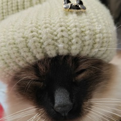 Алёна Жмакина, 24.11, Курск