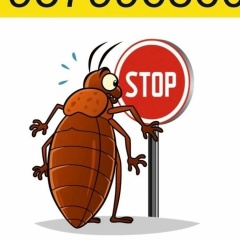 Павел Иванов, 24.01.1988, Самара