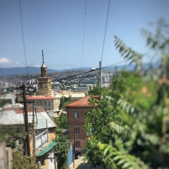 Ляйсан Зюзя