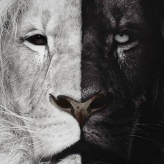 Мырза Жекиш, 17.09.1993, Алматы