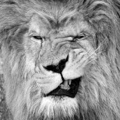 Юрий Сергеевич, 18.08, Абакан