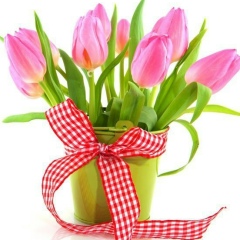 Наташа Лук'яневич, 10.10, Львов