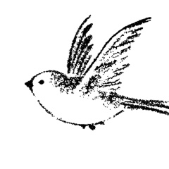 Мария Соловей, 03.07, Санкт-Петербург