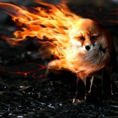 Екатерина Стрелова, 12.12.1989, Москва