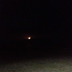 Aidana Akbaeva, 04.11.1950, Бишкек