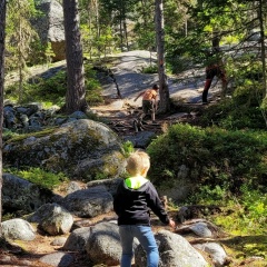 Олеся Романюк, 04.12