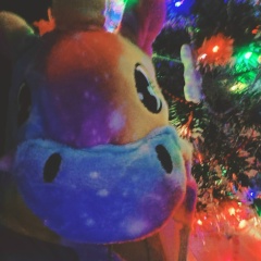 Екатерина Дубровская, 24.05, Нижний Новгород