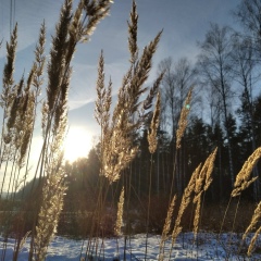 Андрей Чугин, 22.06, Москва