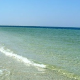 Светлана Гончарук, 28.01, Киев