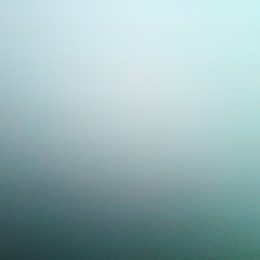 Антон Гончаренко, Санкт-Петербург