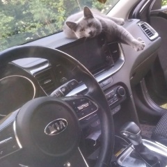 Александр Изотов, 22.07, Санкт-Петербург