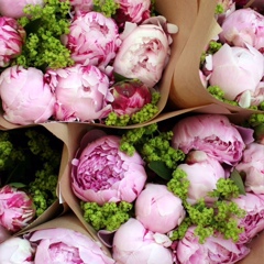 Айнур Амангелды, 01.06, New York City