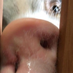 Сергей Ловягин, 05.11.1979, Санкт-Петербург