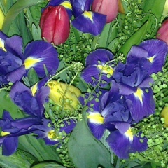 Елена Бутузова, 01.09, Набережные Челны