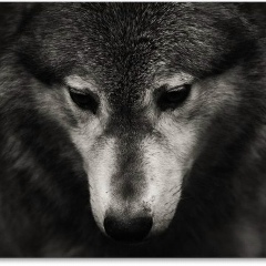 Аким-Али Акемеев, 14.02.1995, Астана