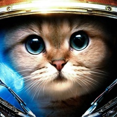 Виталий Урбан, 31.10, Минск