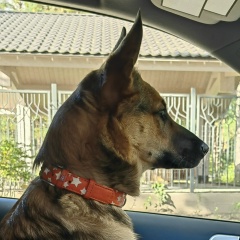 Елена Смирнова, 23.04.1982, Санкт-Петербург