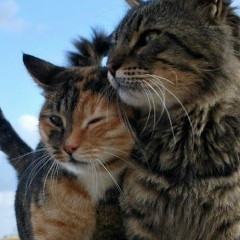 Саида Сагитова, 11.06.2001, Казань