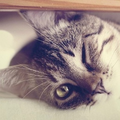 Игорь Катаев, 08.04.1984, Набережные Челны