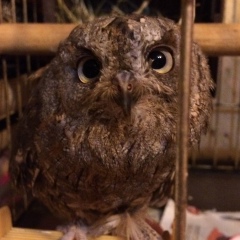 Семен Бородин, 14.09, Нижний Новгород