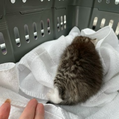 Олеся Якушенко, 04.02, Санкт-Петербург